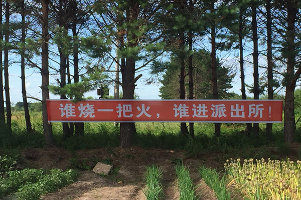 微信图片_20180704154109_副本.jpg