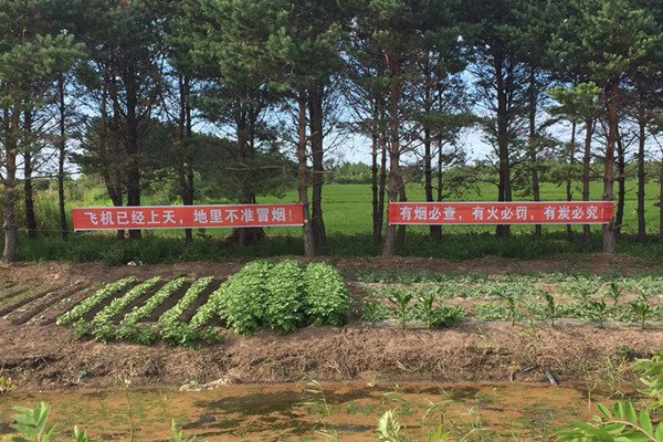微信图片_20180704154114_副本.jpg