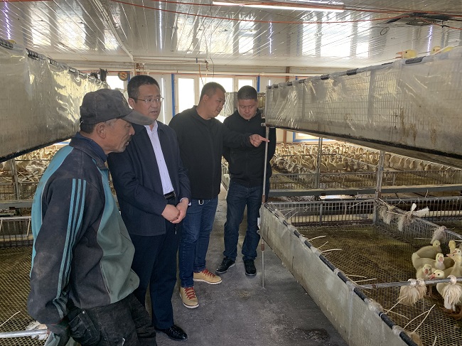 QQ图片20190513095035.jpg