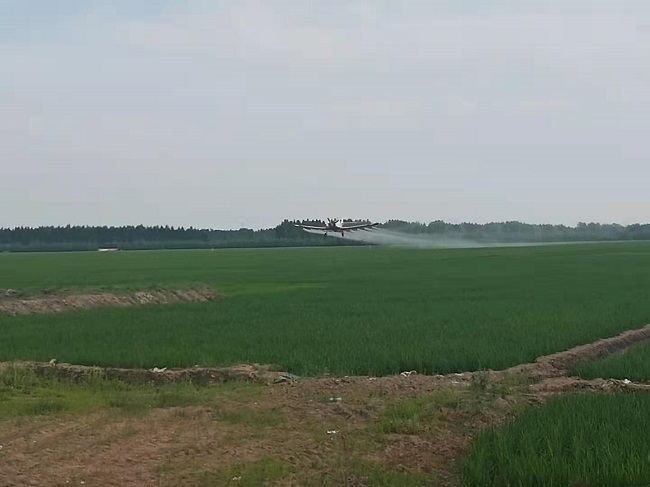 微信图片_20190711154430.jpg