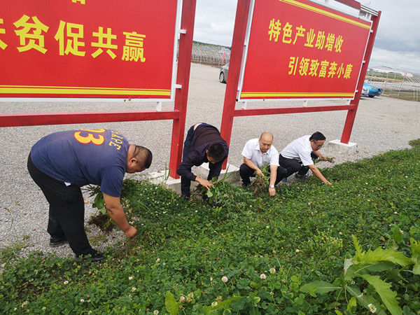 微信图片_20200807144221_副本.jpg