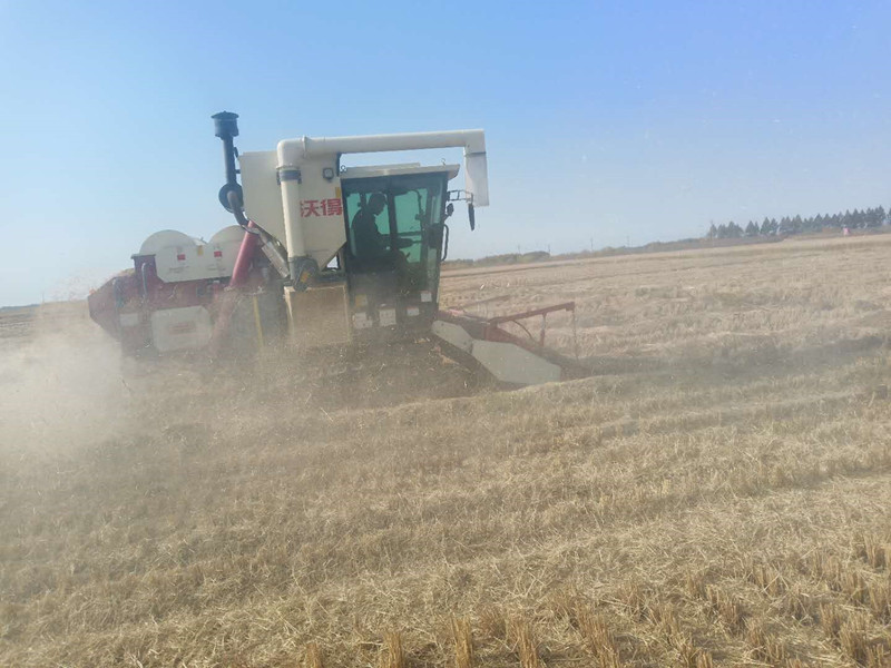 拾禾_副本.jpg