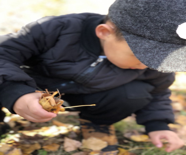 微信图片_20201014084657_副本.jpg