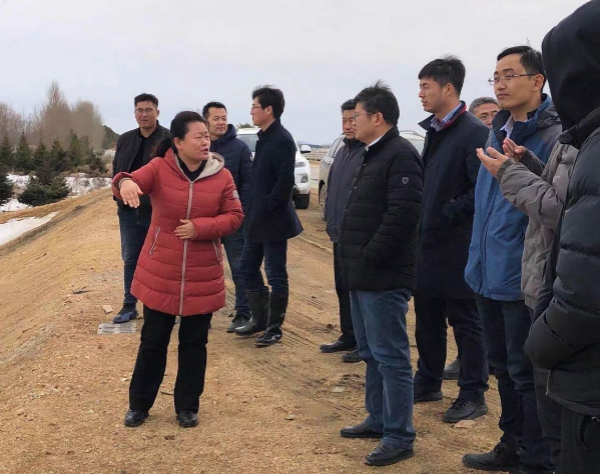 WPS图片-修改尺寸(1).png