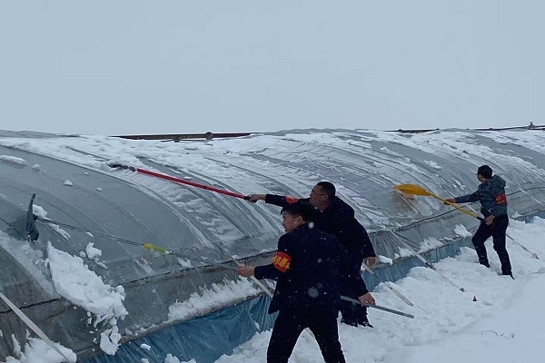 1616373128936496.jpg 党员干部清雪.jpg