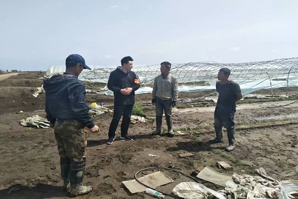 党员服务农户大棚保险.jpg
