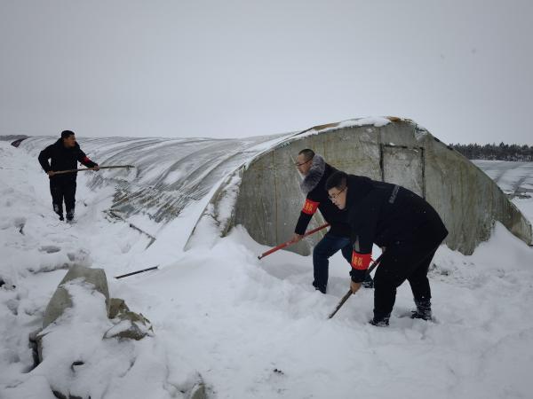 抗风雪 保生产(1).jpg