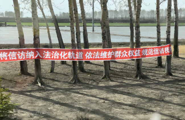 1684377223093(1).png