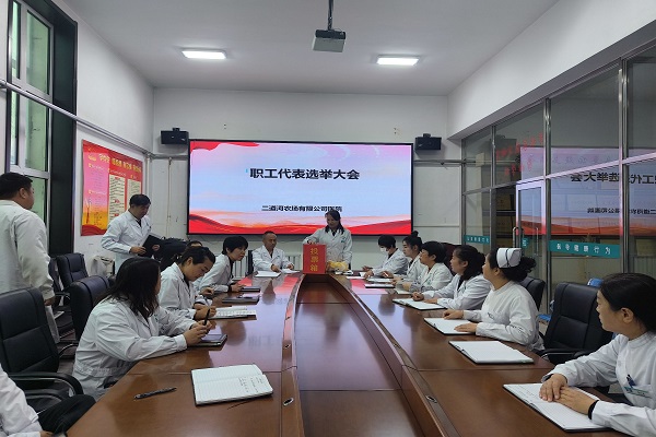 医院二届一次职工代表选举照片.jpg