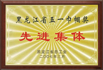 黑龙江省五一巾帼奖