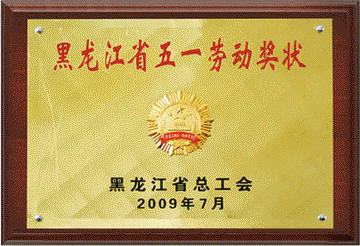 2009年五一劳动奖状